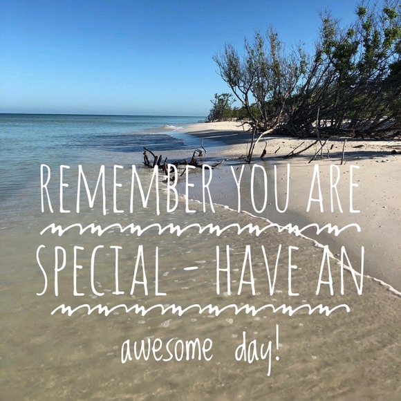 Welcome to The Hip Turtle! - Picture 2 of 2